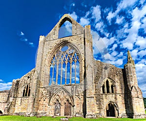 A view of Tintern Abbey