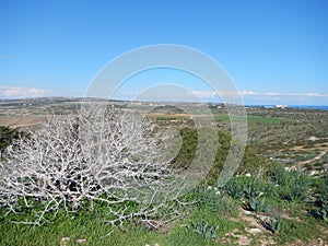 View to Agia Napa from Cavo Greko