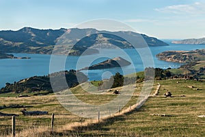 View to Akaroa Harbour, Akaroa, New Zealand