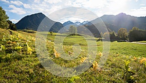 view to allgau alps from lookout point Hoffmannsruh, landscape Oberstdorf photo