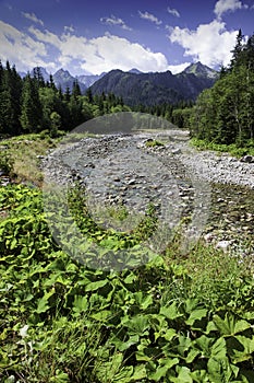 Pohľad do alpského údolia s riekou v národnom parku Vysoké Tatry, Slovensko