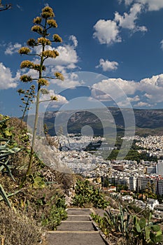 View to Athens