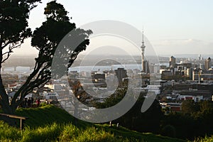 Hilltop vista of coastal cityscape of cbd and Sky Tower from Mount Eden with lush vegetation before sunset, Auckland, New Zealand