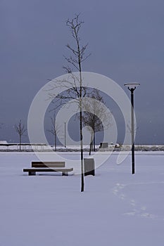 View to Baltic sea and grey sky. Fresh white snow during winter time. Reidi tee, Tallinn, Estonia, Europe. January 2024