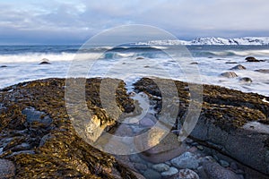 Teriberka, Barents Sea and Arctic Ocean coast photo