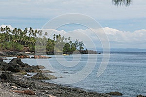 View to the bay with voulcanic stones and palms, Craig Cove, Ambrym, Vanuatu