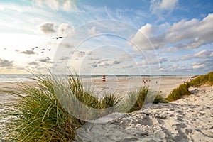 View to beautiful landscape with beach and sand dunes near Henne Strand, North sea coast landscape Jutland Denmark photo
