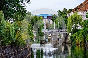 View to the bridge ove the river Ljubljanica