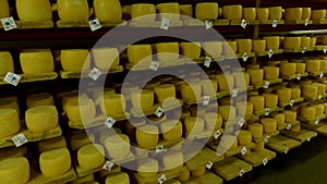 View to the cheese-wheels of parmesan maturing on the shelves at the cellar of the cheese factory