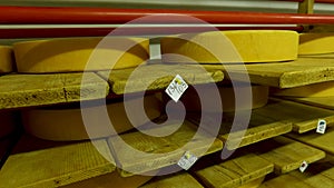 View to the cheese-wheels of parmesan maturing on the shelves at the cellar of the cheese factory