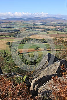 View to the Cheviot Hills