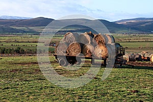 View to the Cheviots
