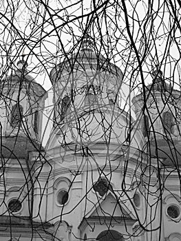 A view to the church through tree branches