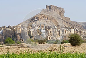 View to the city of Seiyun, Hadramaut, Yemen.