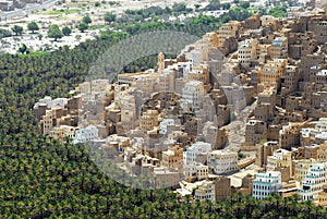 View to the city of Seiyun, Hadramaut, Yemen.