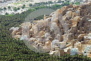 View to the city of Seiyun, Hadramaut, Yemen. photo