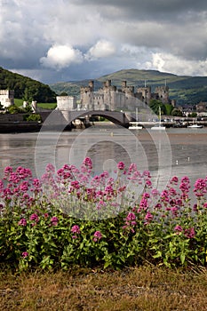 View to Conwy castle