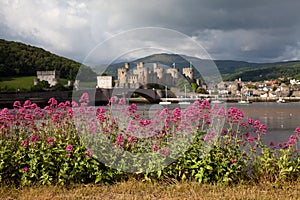 View to Conwy with flowers