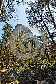 View to Devils Tower National Monument in Wyoming
