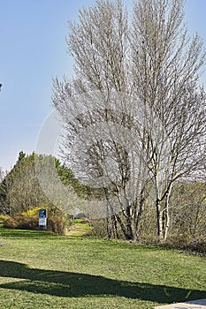 View to the entrance of the preservation zone at lake viehofen