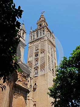 View To The Giralda