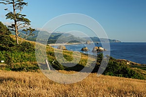 View To Haystack Rock Marine Garden From Ecola State Park Cannon Beach Oregon USA