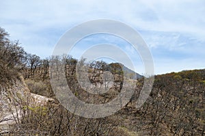 View to the hills covered with dry forest and blue cloudy sky
