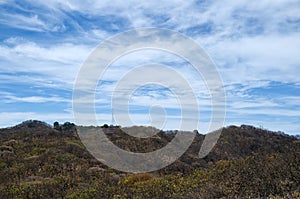 Sobre el sierras cubierto Bosque eléctrico votación a azul 