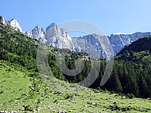 View to the Hinter Selbsanft peak in mountain mass Glarus Alps photo