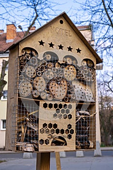 View to an insect house in the garden, protection for insects, named insect hotel in city centre. Taking care of nature