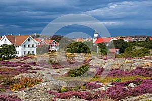 View to the island Kaeringoen in Sweden