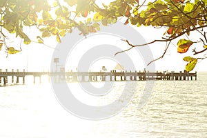 view to the Jetty pier wharf at palm beach Queensland Australia