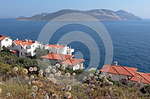 View to Kastelorizo island from Turish coast photo