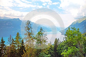 View to lake Brienzersee, trees in the front, cloudy sky