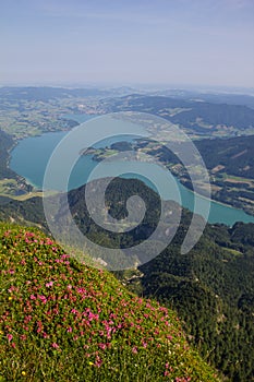 View To Lake Mondsee From Schafbergspitze 1.783 In The Morning