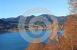 View to lake tegernsee, autumnal larch trees