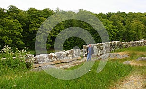 View to the Lilleborg RuÃ¯n