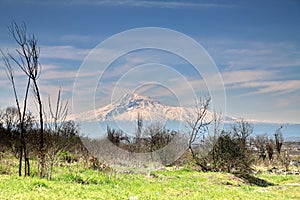 View to majestic Ararat mountain from Erevan city, Armenia