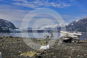 A view to Margerie and Grand Pacific glaciers with landed iceberg from Tarr inlet in Glacier Bay National Park, Alaska