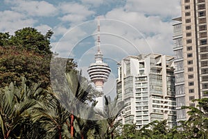 View to the Menara Tower or KL tower through the palm trees of the KLCC park