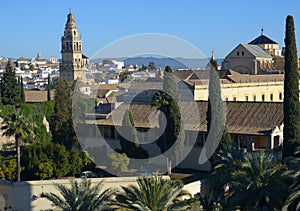 View to Mezquita cathedral in Cordoba, Spain