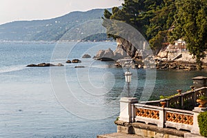 A view to Miramare castle park