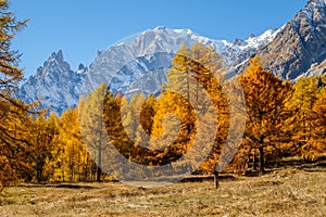 View to the mont blanc autumn. Italy Coumayeur Ferret valley