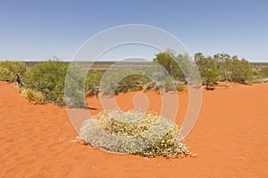 View to Mount Conner