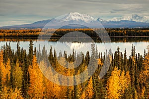 View to mount Wrangell and Zanetti