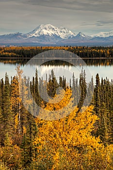 View to mount Wrangell and Zanetti