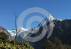 View to mountain Machapuchare