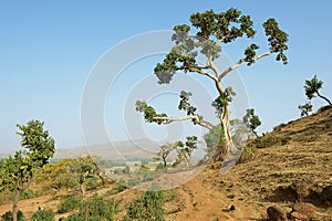 View to the mountain trail in Bahir Dar, Ethiopia.