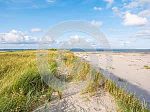 View to North Sea from dunes with marram grass and beach of nature reserve Boschplaat on Terschelling, Netherlands photo