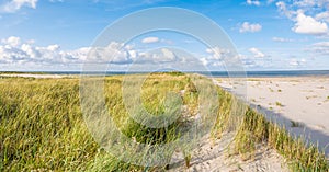 View to North Sea from dunes with marram grass and beach of nature reserve Boschplaat on Terschelling, Netherlands photo